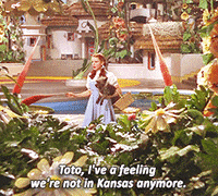 judy garland GIF