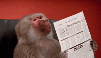 Media Newspaper GIF