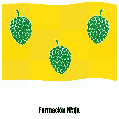 Bandera Zaragoza GIF by Formación Ninja