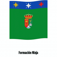 Castilla Y Leon Flag GIF by Formación Ninja