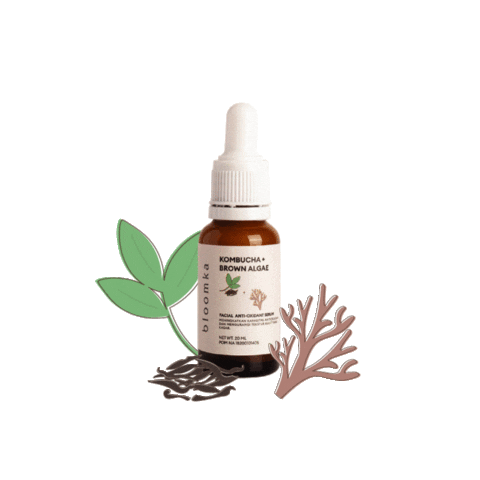 Kombucha Bloomers Sticker by The Bath Box