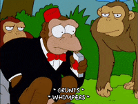 the simpsons monkeys GIF