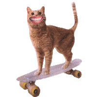 Cat Smile Sticker by Galvanik Zug