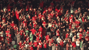 Red Army Fans GIF by Cliftonville Football Club