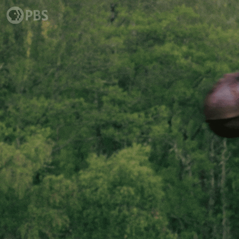 Walking With Dinosaurs Dinosaur GIF by PBS