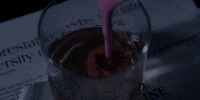first reformed GIF by A24