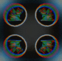 Vier Kriezus GIF