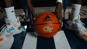 Georgia Tech Basketball GIF by Georgia Tech Yellow Jackets