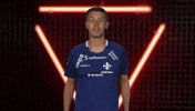 Sv Darmstadt 98 Cheering GIF by Bundesliga