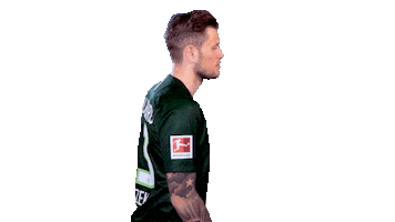 Instagram Sticker Sticker by VfL Wolfsburg