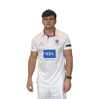 Celebration Sticker by Somerset County Cricket Club