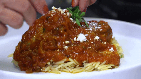 nsingh1230 giphyupload cat cora abcnews kota kapama GIF