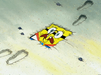 season 5 blackened sponge GIF by SpongeBob SquarePants