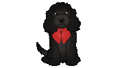 Cute Dog Sticker by zoopeez