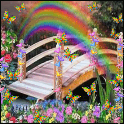 Rainbow Bridge GIF