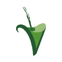 Verdelandia chimarrao terere erva mate verdelandia Sticker