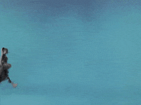 Country GIF by Kelsea Ballerini