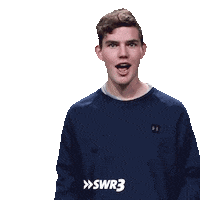 Wait What Omg Sticker by SWR3