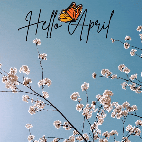 Happy April GIF by Maria Johnsen