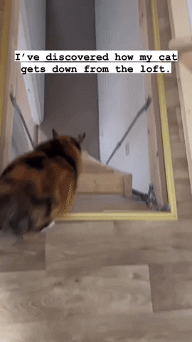 stickybomb giphyupload GIF