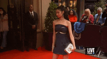 Met Gala GIF by E!