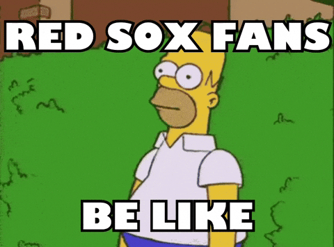 Red Sox Baseball GIF by Respective