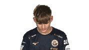 Hansa Rostock Vbl Sticker by Bundesliga