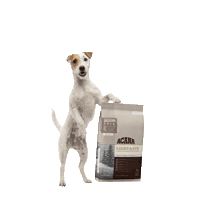 Dog Sticker by ACANA_UK