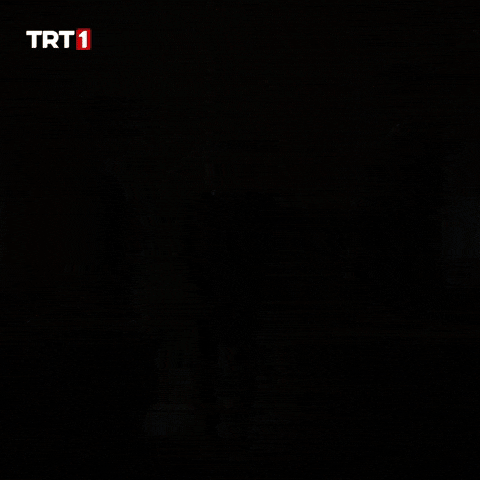 Turk Polis GIF by TRT