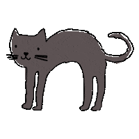 Black Cat Sticker by Carter's Babies and Kids