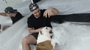 dog GIF by Luccas Neto