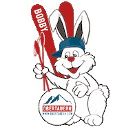 Skiing Snowboarding Sticker by Obertauern