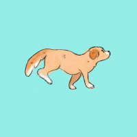 dog GIF