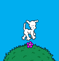 chippythedog chippythedog GIF