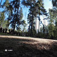 Driving On The Way GIF by FIA World Rally Championship
