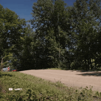 Driving Fast GIF by FIA World Rally Championship