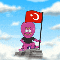 Flag Turkey GIF by Octo Gaming