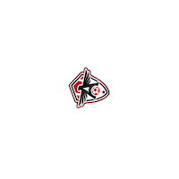 Ari Cearense Sticker by arigooll