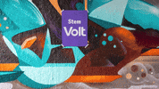 Verkiezingen Stemvolt GIF by VoltNL