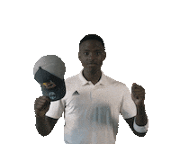 South Africa Cricket Sticker by Red Bull