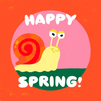 March 20 Flowers GIF by GIPHY Studios 2023