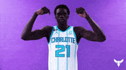 Basketball Nba GIF by Charlotte Hornets