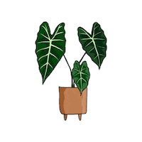 Plant Sticker by Monstera Mania