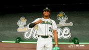 College Baseball Banks GIF by GreenWave