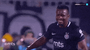 Partizan Suma GIF by sportmts