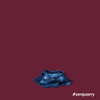 clothes ropa GIF by Quarry Jeans & Fashion