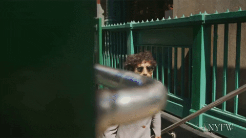 South Asian Nyc GIF by South Asian New York Fashion Week