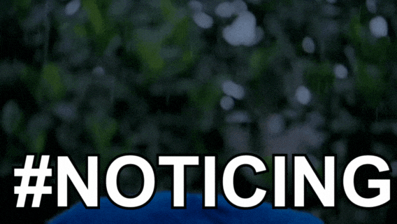 Noticing Sylvester Stallone GIF by Xavier University