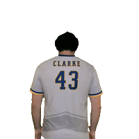 Clarke Mens Soccer Sticker by Clarke University