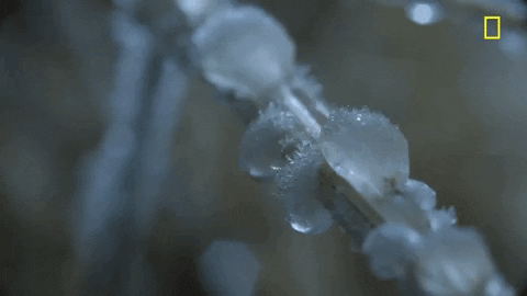 nat geo frost GIF by National Geographic Channel